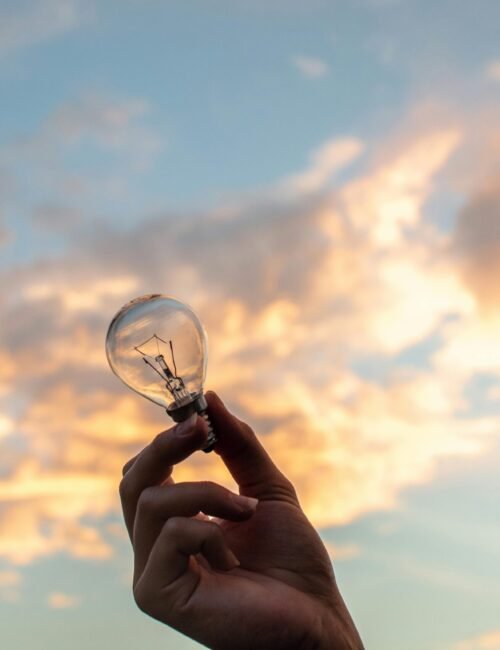pexels-lilartsy-1314410 pexels-lilartsy-1314410